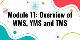 Overview of MMS, YMS and TMS-3